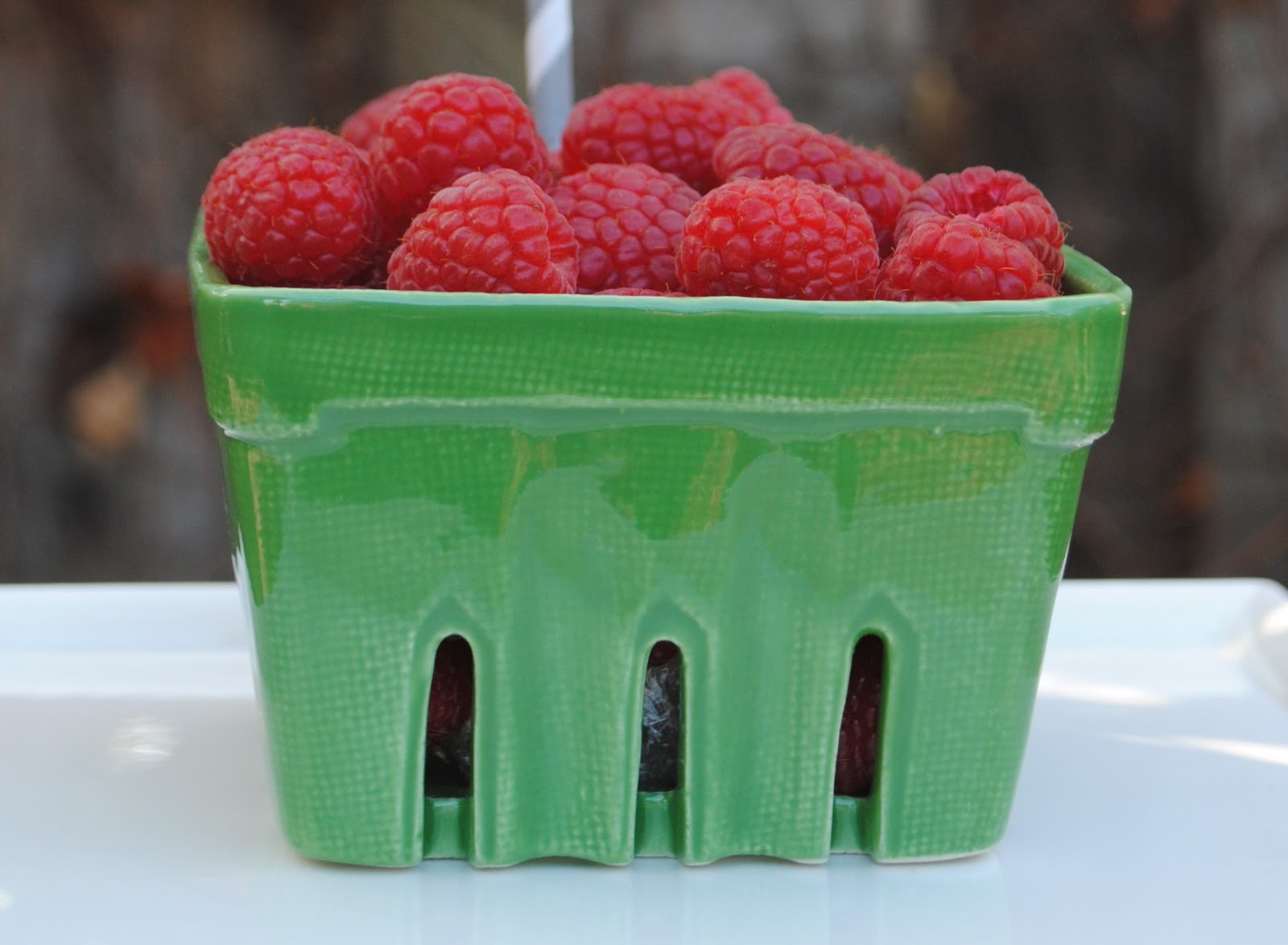 Jac o' lyn Murphy Christmas Berries...