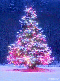 50 Gambar DP BBM Pohon natal 2017 Bergerak Gif Cantik dan indah