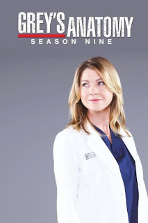 Anatomia de Grey Temporada 9 audio Español Anatomia de Grey Temporada 9 audio Español