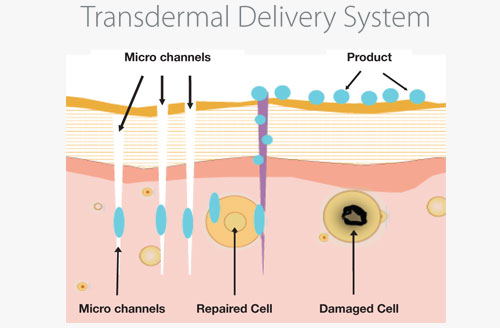 Pharmaceutical Science & Technology: Transdermal-Gastro-ODT-Drug