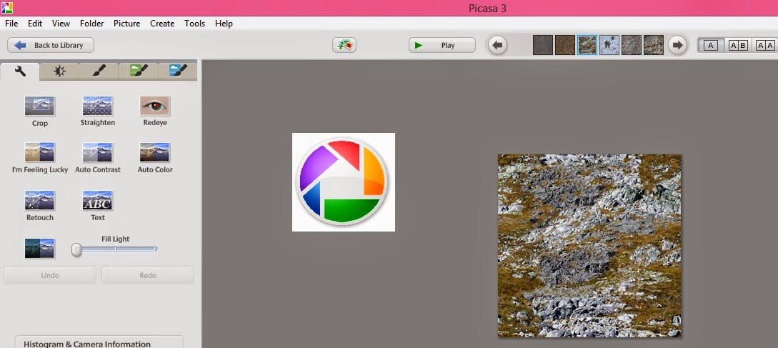Download picasa free