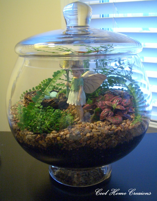 Cool Home Creations Bring in the Outdoors Terrarium (Second Edition)
