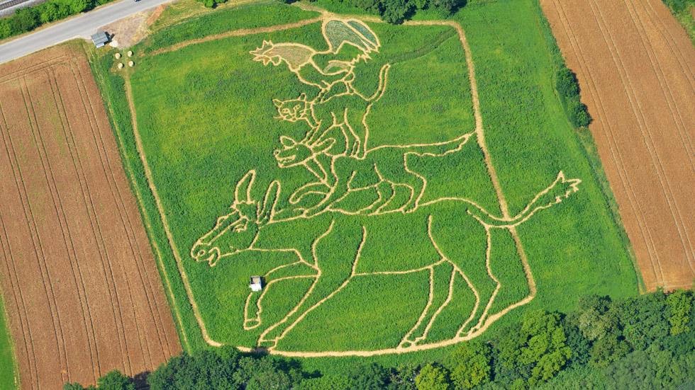 16. Utting, Germany - 50 Stunning Aerials That Will Make You See the World in New Ways (PHOTOS) 16. Utting, Germany - 50 Stunning Aerials That Will Make You See the World in New Ways (PHOTOS)