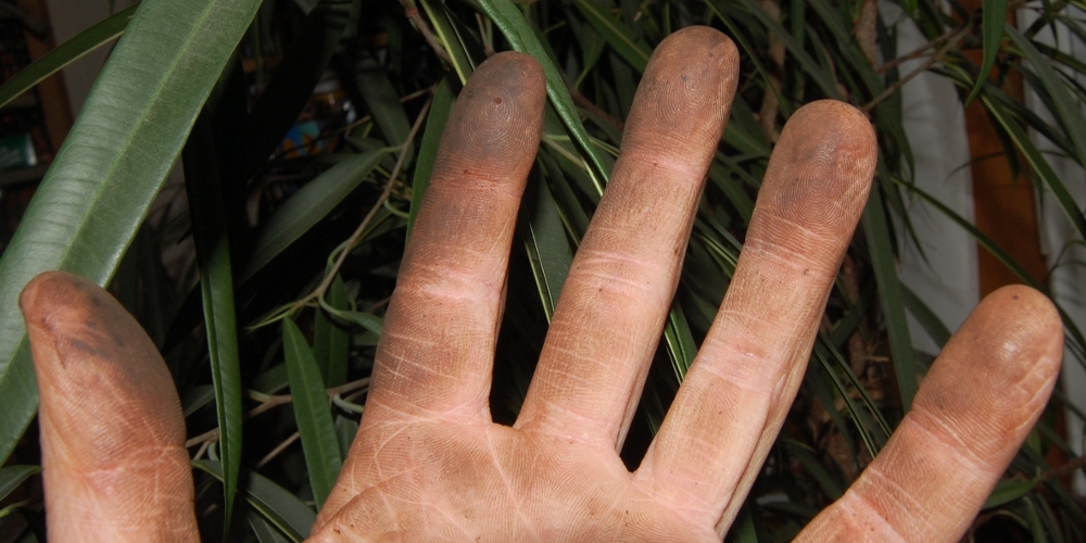 machine log February 2012