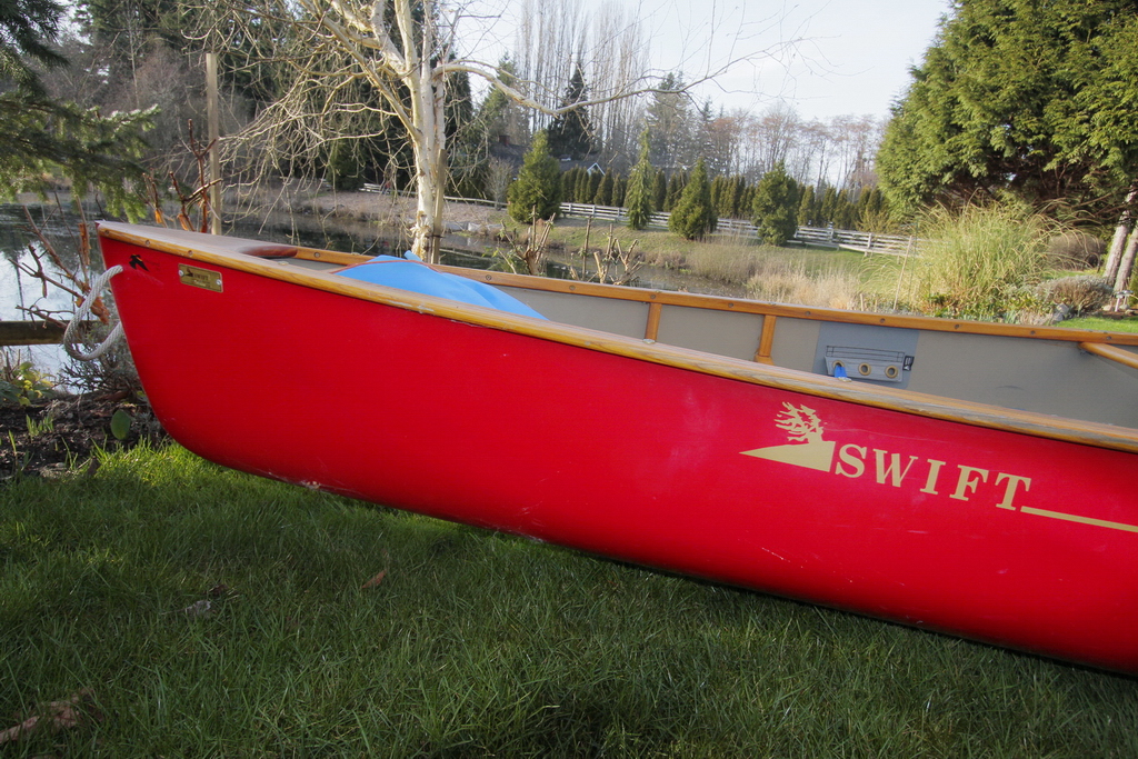 LOVE WHAT IS Laughter, Compassion, Honouring FOR SALE My beloved