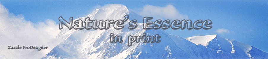 Nature's Essence in print 