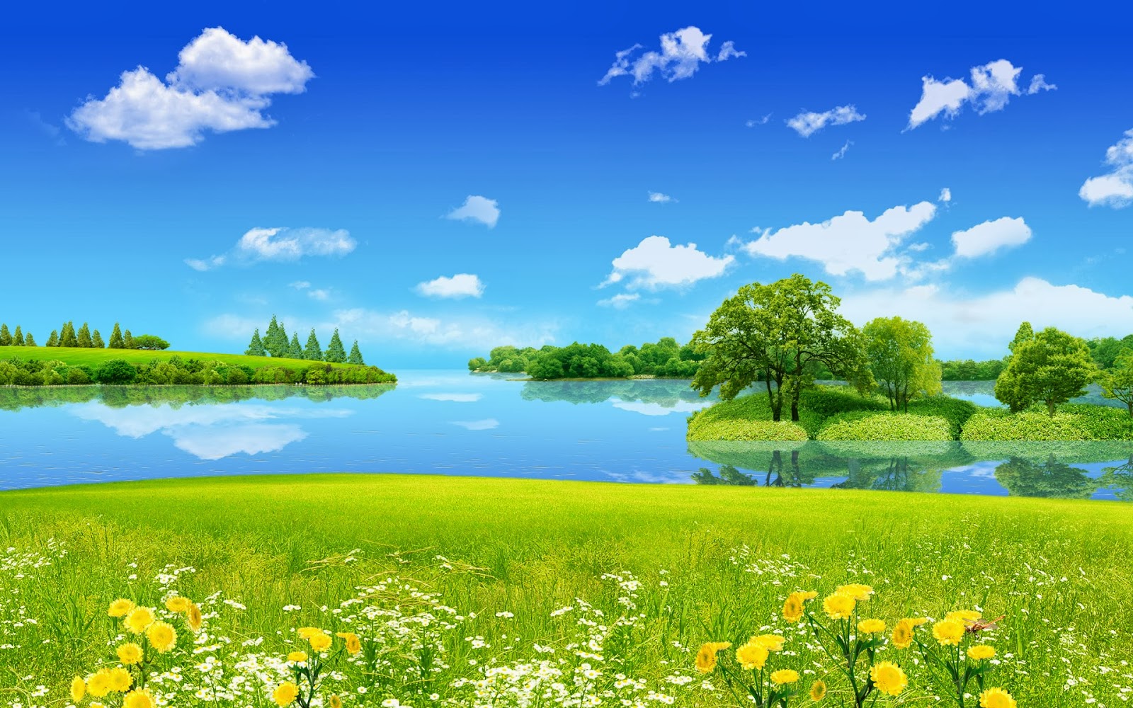 Wallpaper,Wallpapers,Live WallpaperWallpapers Large Web Site