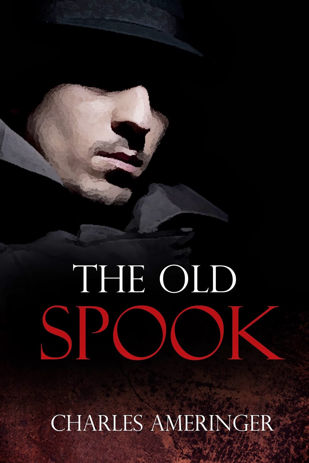 the american history detective book