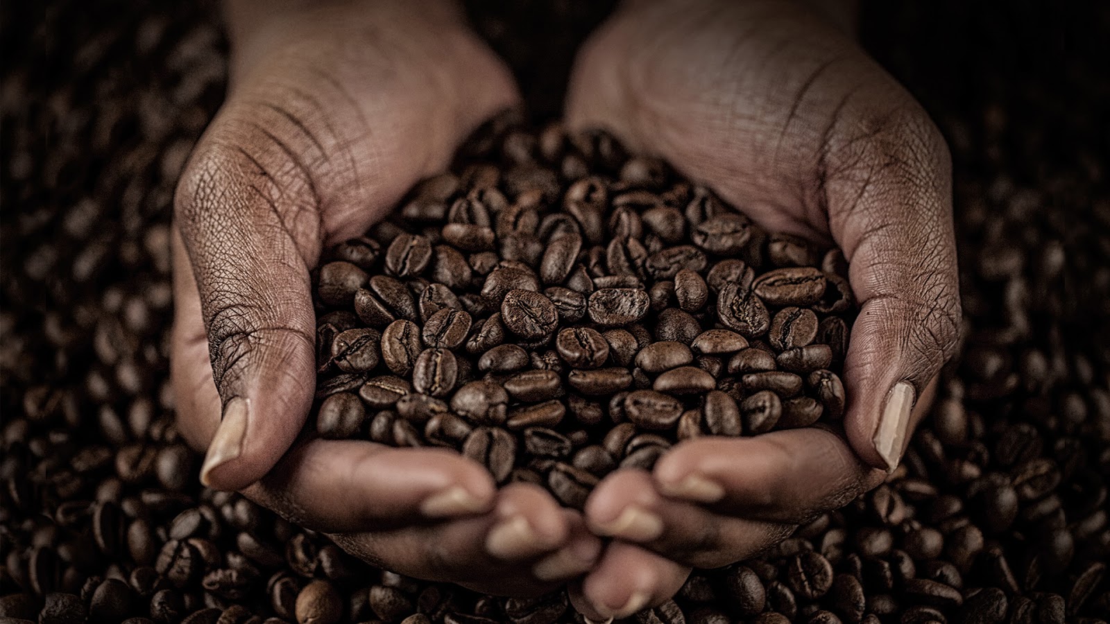 Mosin Fresh Coffee Concentrate Packaging Of The World