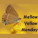 Yellow mellow