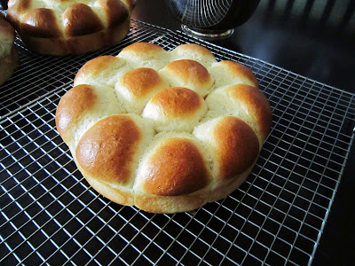 In the Middle of Nowhere : Rolls, Rolls, Rolls!