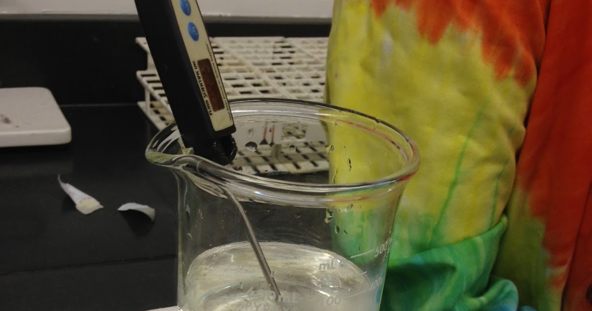 Solubility test for organic compounds lab report image