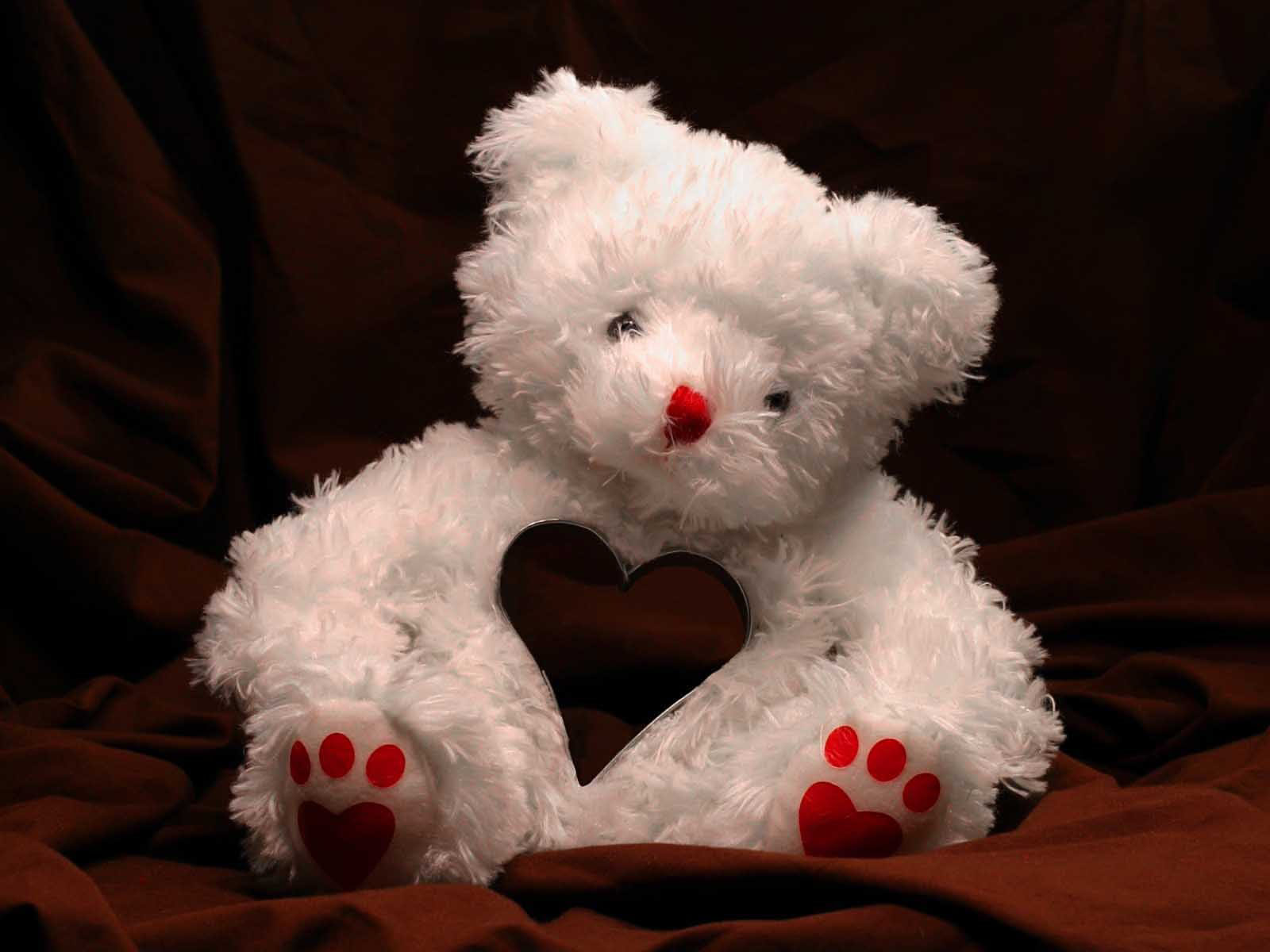 Cute and Lovely Baby Pictures Free Download - cute baby with teddy wallpapers