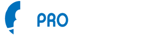 The Pro Blogging