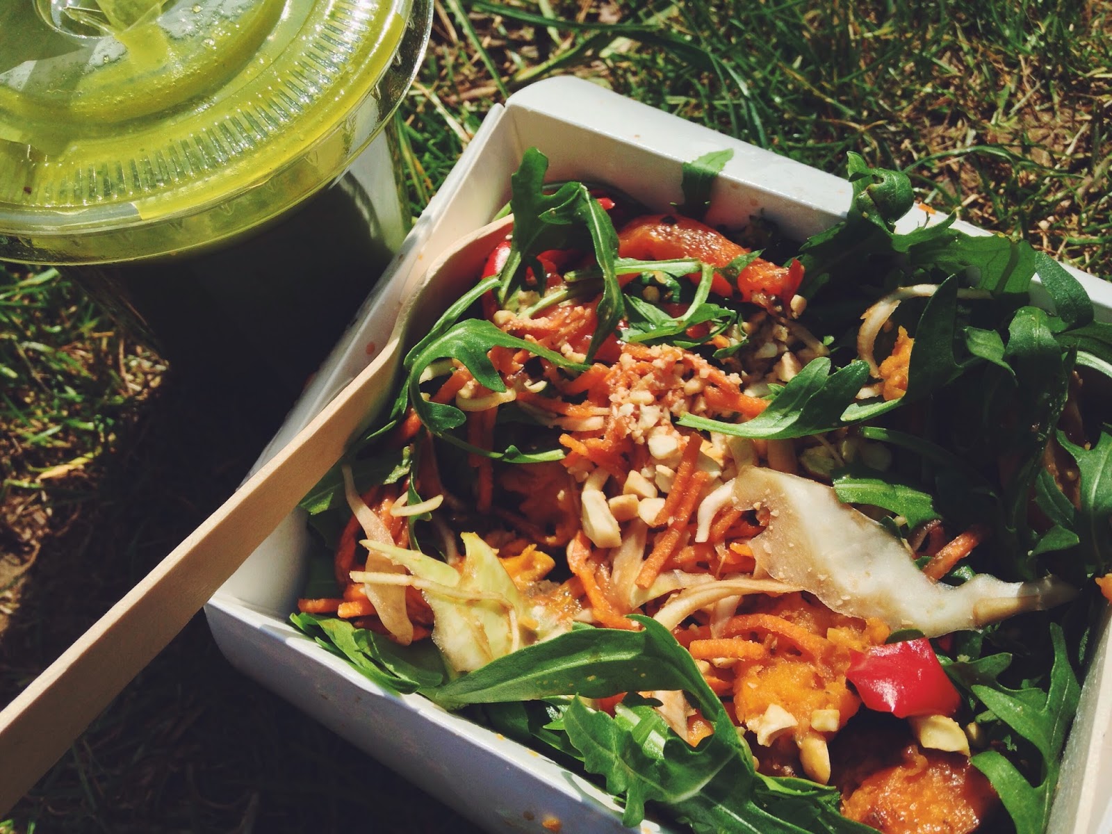 Bob's Kitchen Curiously Conscious