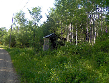 Maine Outhouses