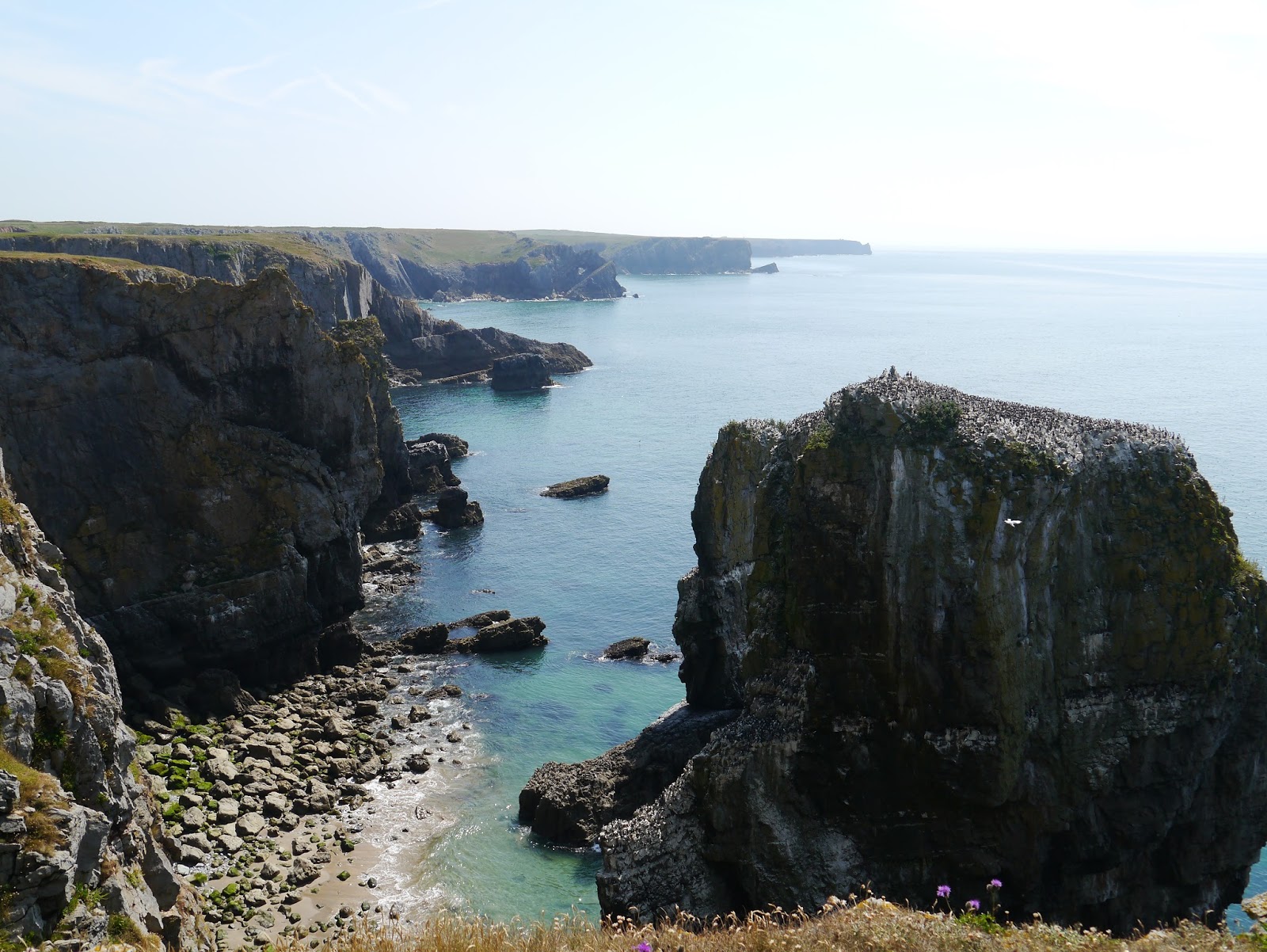 Local History of South Wales & Llanhilleth Miners' Institute