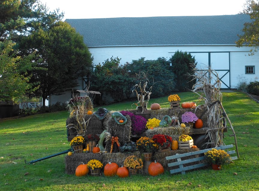 Irwin Chusid bountiful harvest