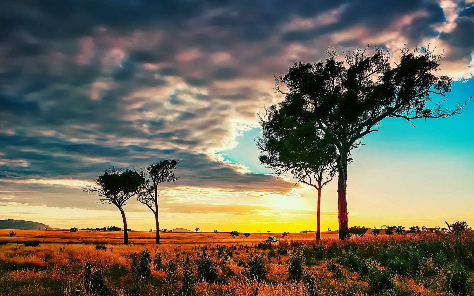 Nature HD 9 DESKTOP WALLPAPERS 1920×1080 For Windows7,8,8.1,XP,Vista