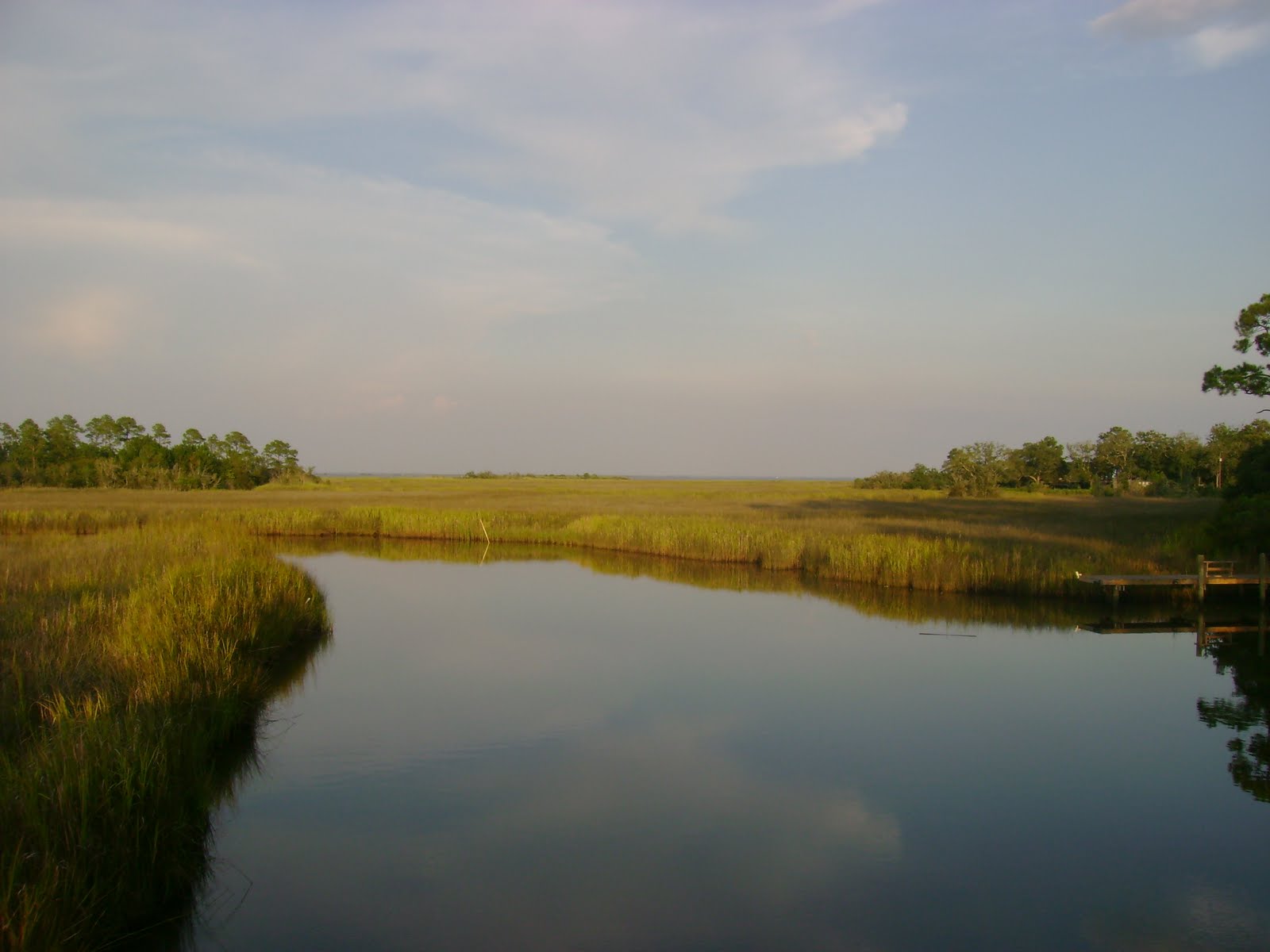 From Rome to Home My life in Mobile, Alabama Belle Fontaine and Isle