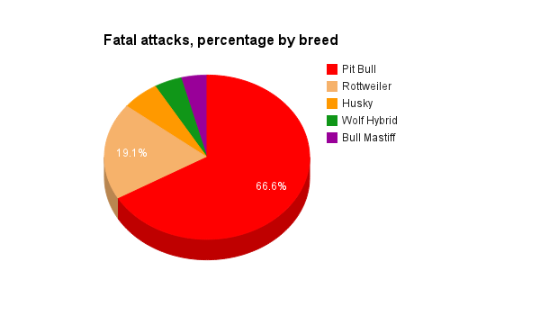 Pitbull Dog Years Chart