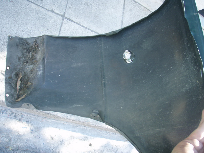 [Immagine: P3070719.JPG]