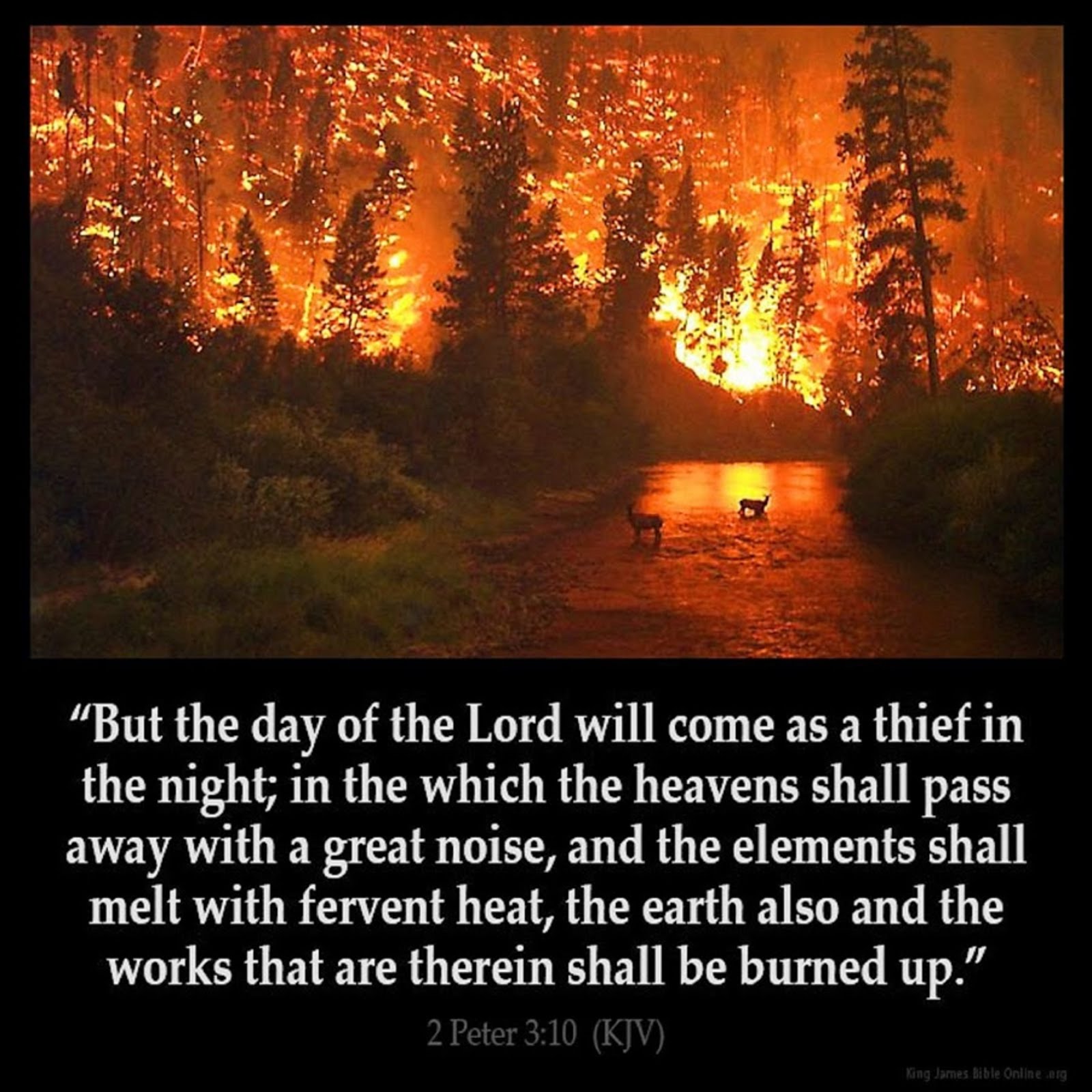 THE DAY OF THE LORD WILL COME LIKE A THIEF IN THE NIGHT