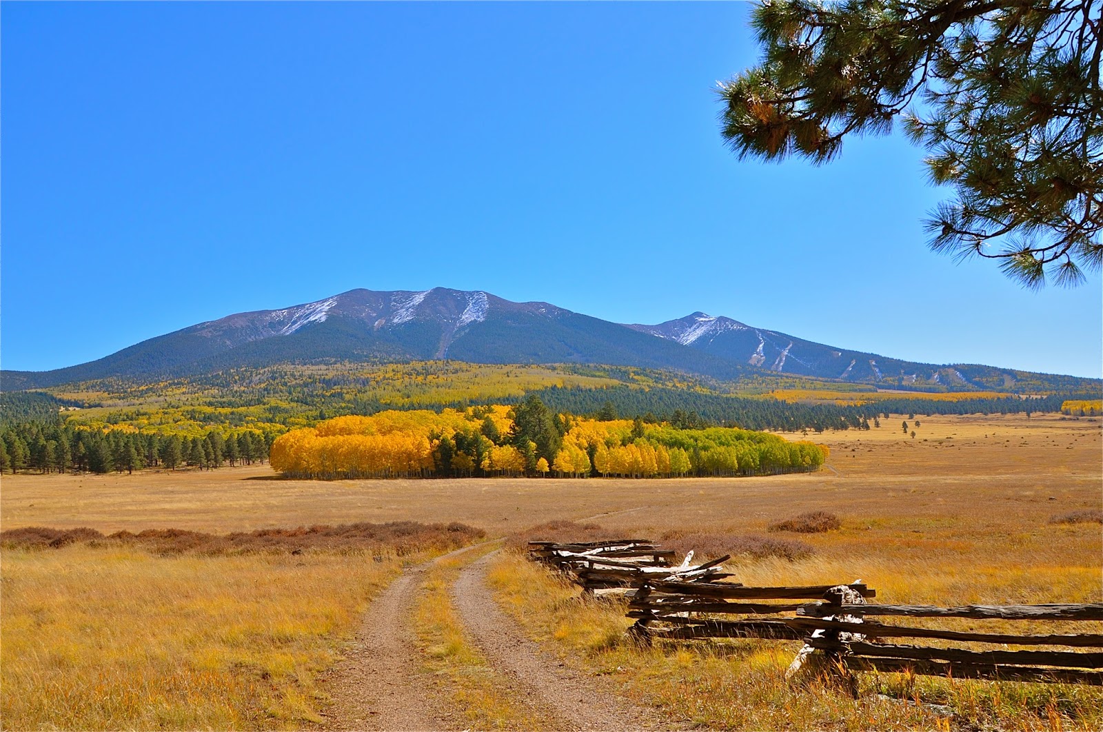 Finding Arizona Beautiful Hart Prairie