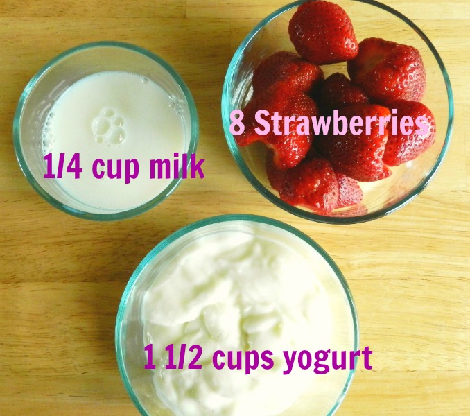 Elise Engh Studios Strawberry Smoothie Pops