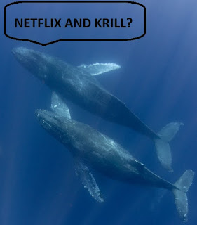 netflix and chill whales in love
