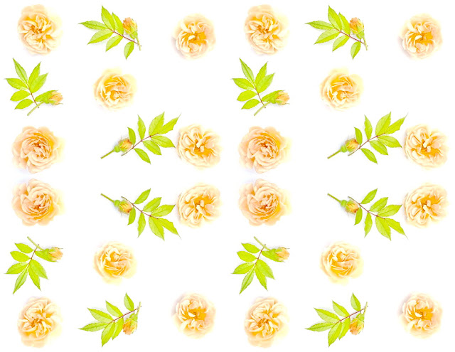 Mano S Welt Page 41 Chan 6148620 Rssing Com