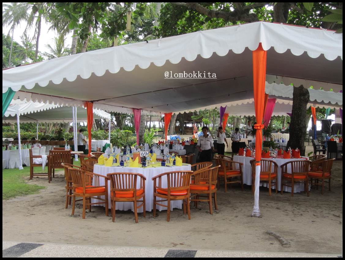 Download Beach party tema For iPhone Free