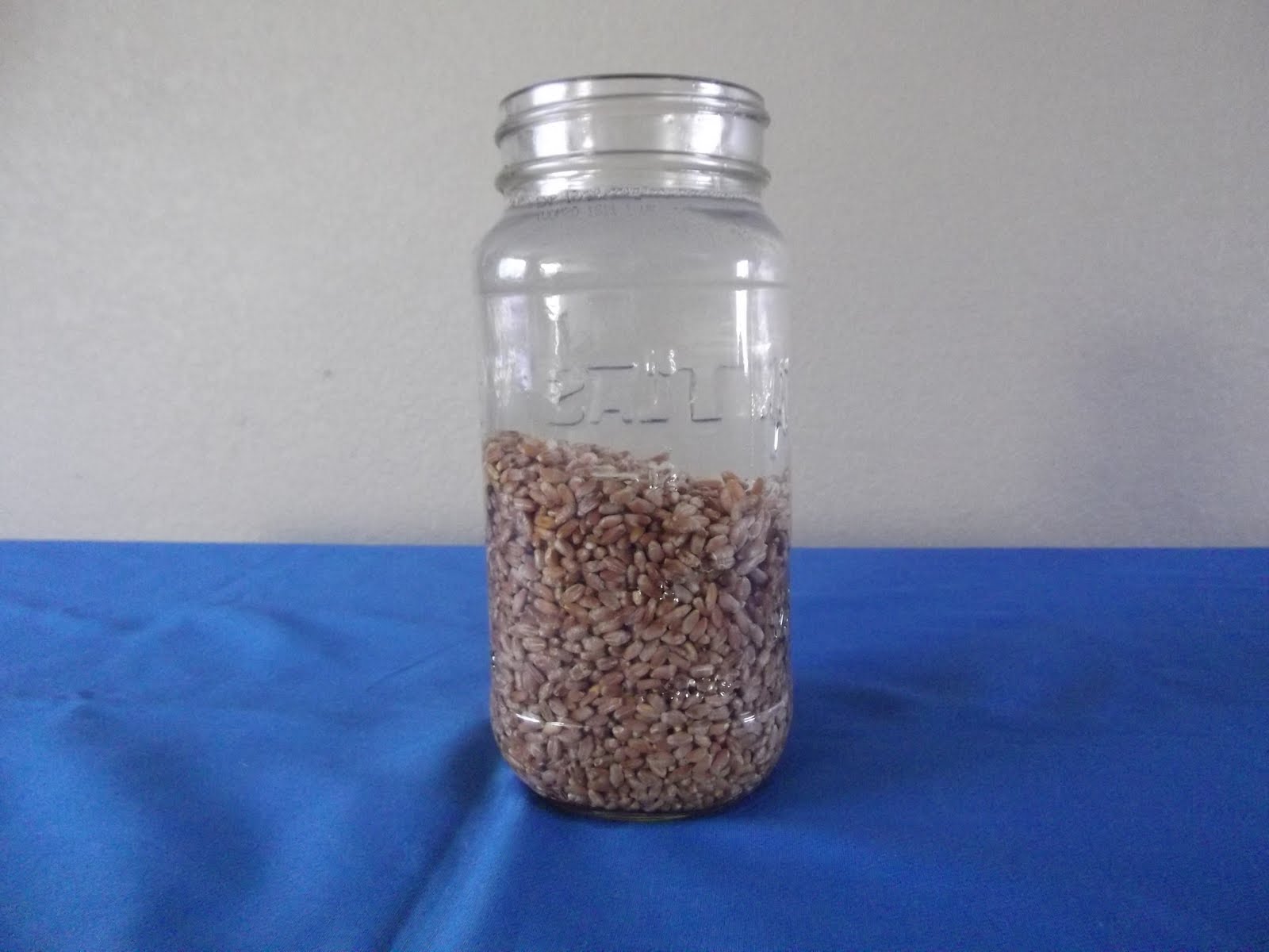 The Resourceful Life How to make malt vinegar from wheat.