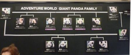 流浪の画家 の隆くん 白浜温泉 アドヴェンチャーワールド 白浜パンダ 大家族の系譜