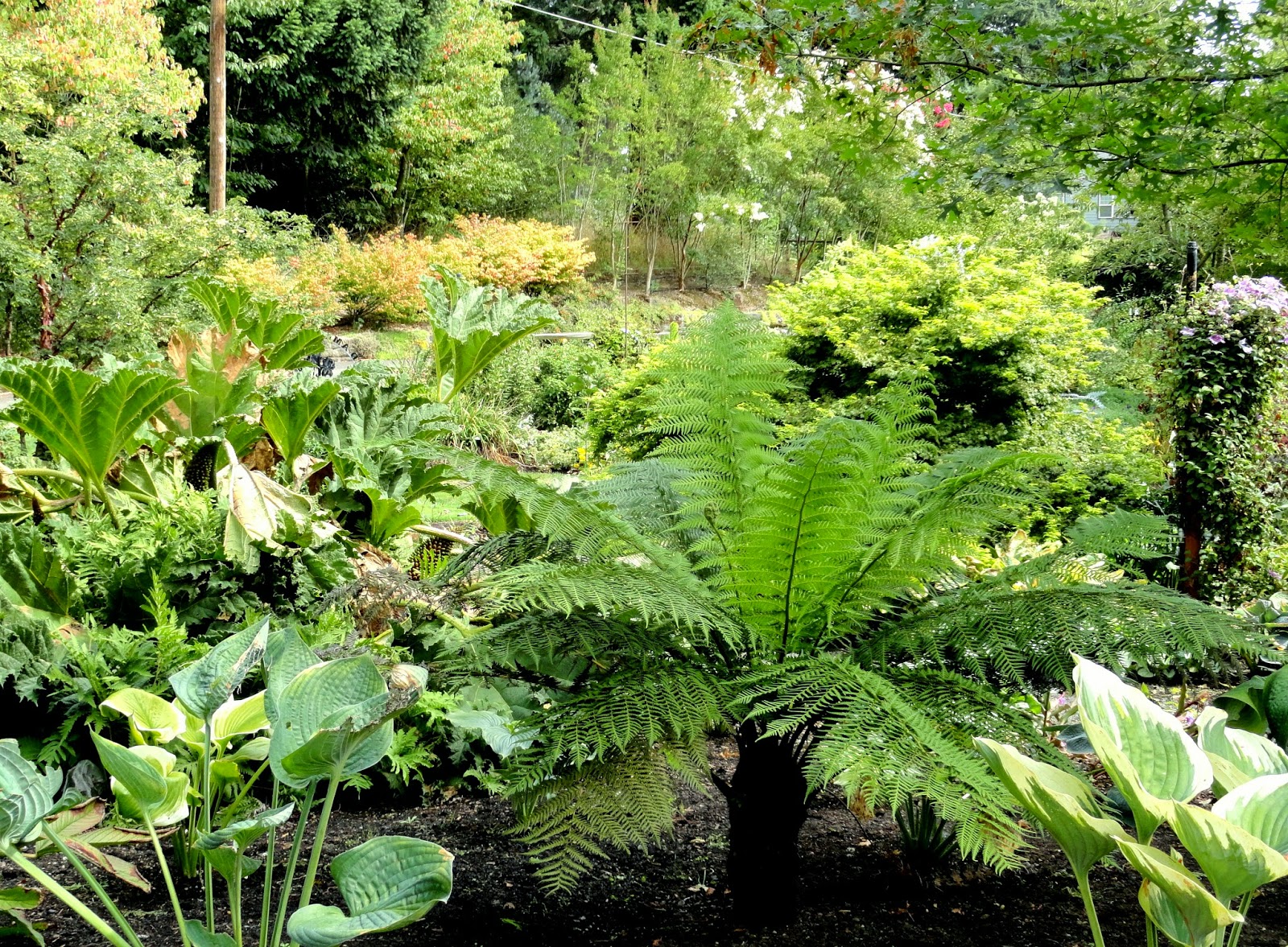 danger garden A visit to Sebright Gardens…