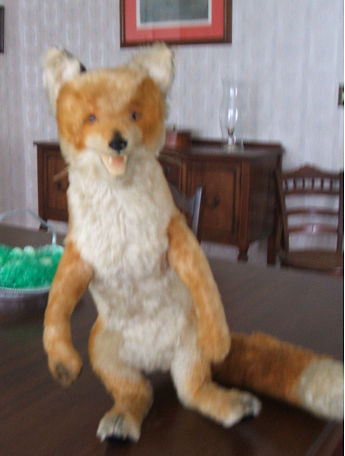 vintage steiff fox