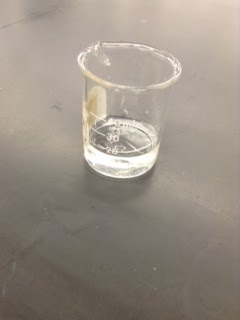 yeast lab6 Yeast infection test what is a yeast test yeast is a type of fungus that can live on the skin, mouth, digestive tract, and genitals some yeast in the body is normal. yeast lab6 Yeast infection test what is a yeast test yeast is a type of fungus that can live on the skin, mouth, digestive tract, and genitals some yeast in the body is normal.