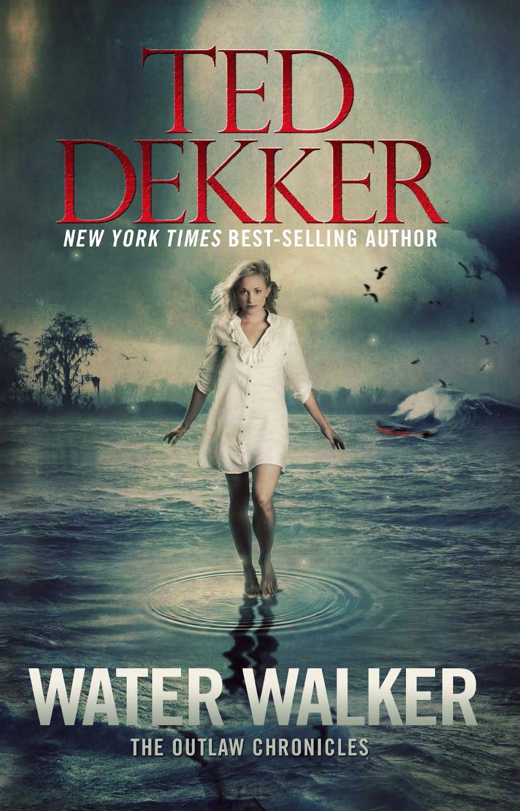 Water Walker by Ted Dekker A Suspense Book Review