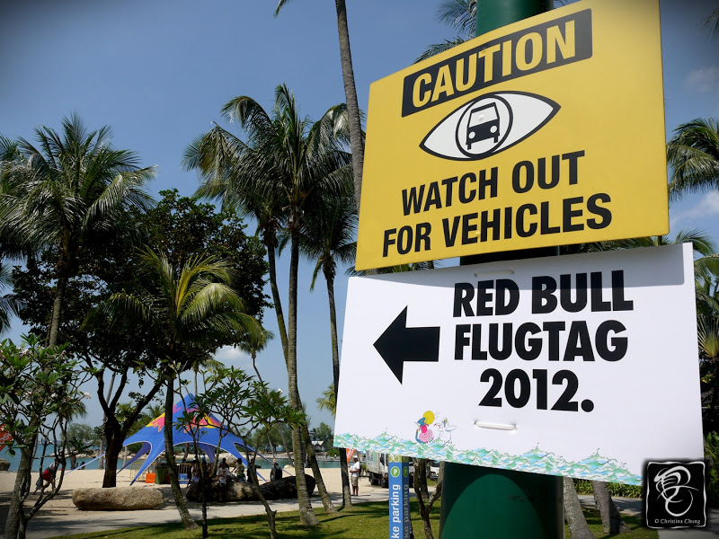 Red bull flugtag prizes for mega Red bull flugtag prizes for mega
