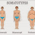 Discover The Ways To Train For Different Somatotypes