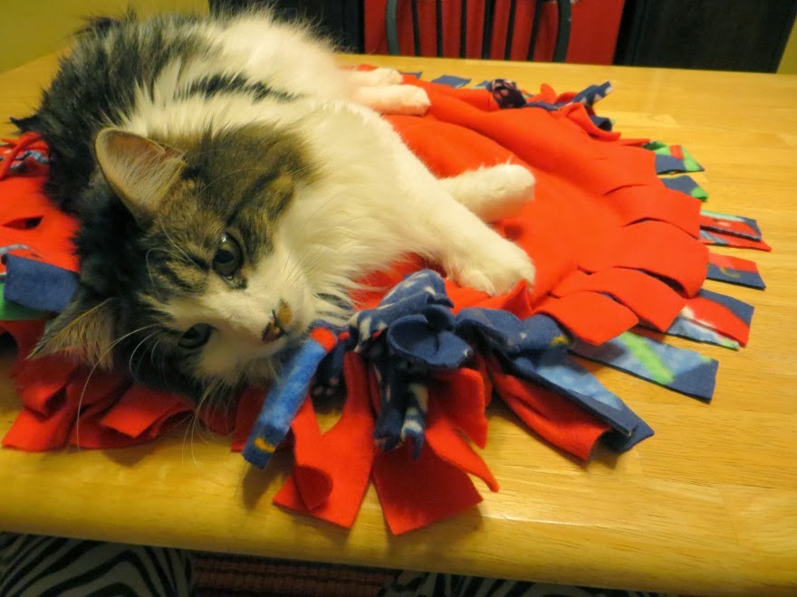 As the World Purrs How to make a Fleece Cat Bed