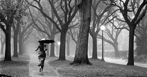 Pyaari Si Zindagi - 12