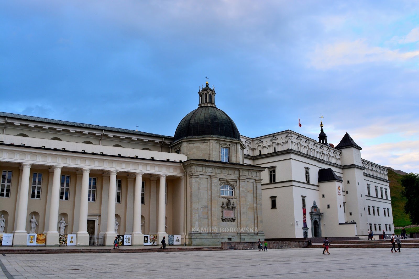 DSC_0636.JPG