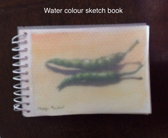 spirally bound water colour sketch book created by Manju Panchal