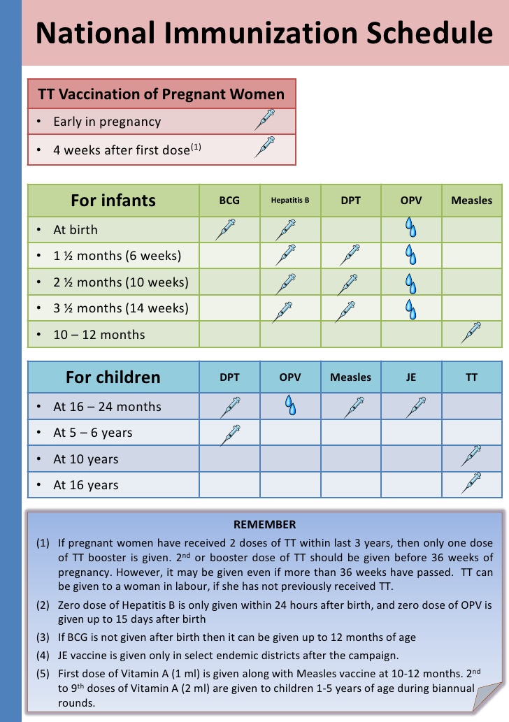 Pregnancy Immunization Chart