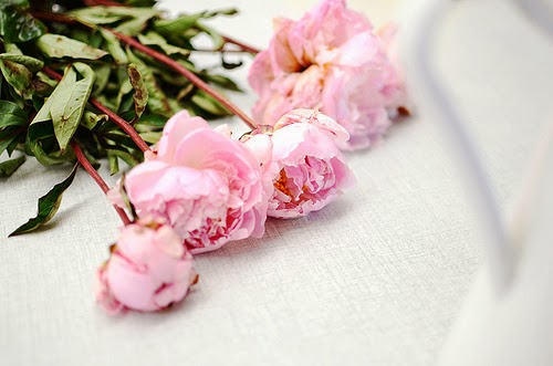 Nuradiini Isu Hadiyeeya Ubax