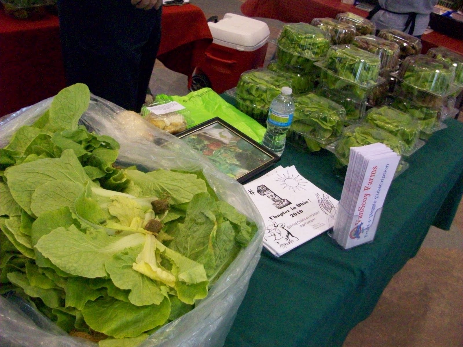 Patch produce,vanscoy farms mailing list wife owners of lima, ohio area food