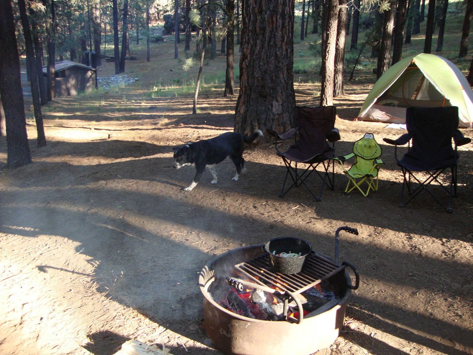 Delight in the Rain First Family Camp Out Frenchman's Lake
