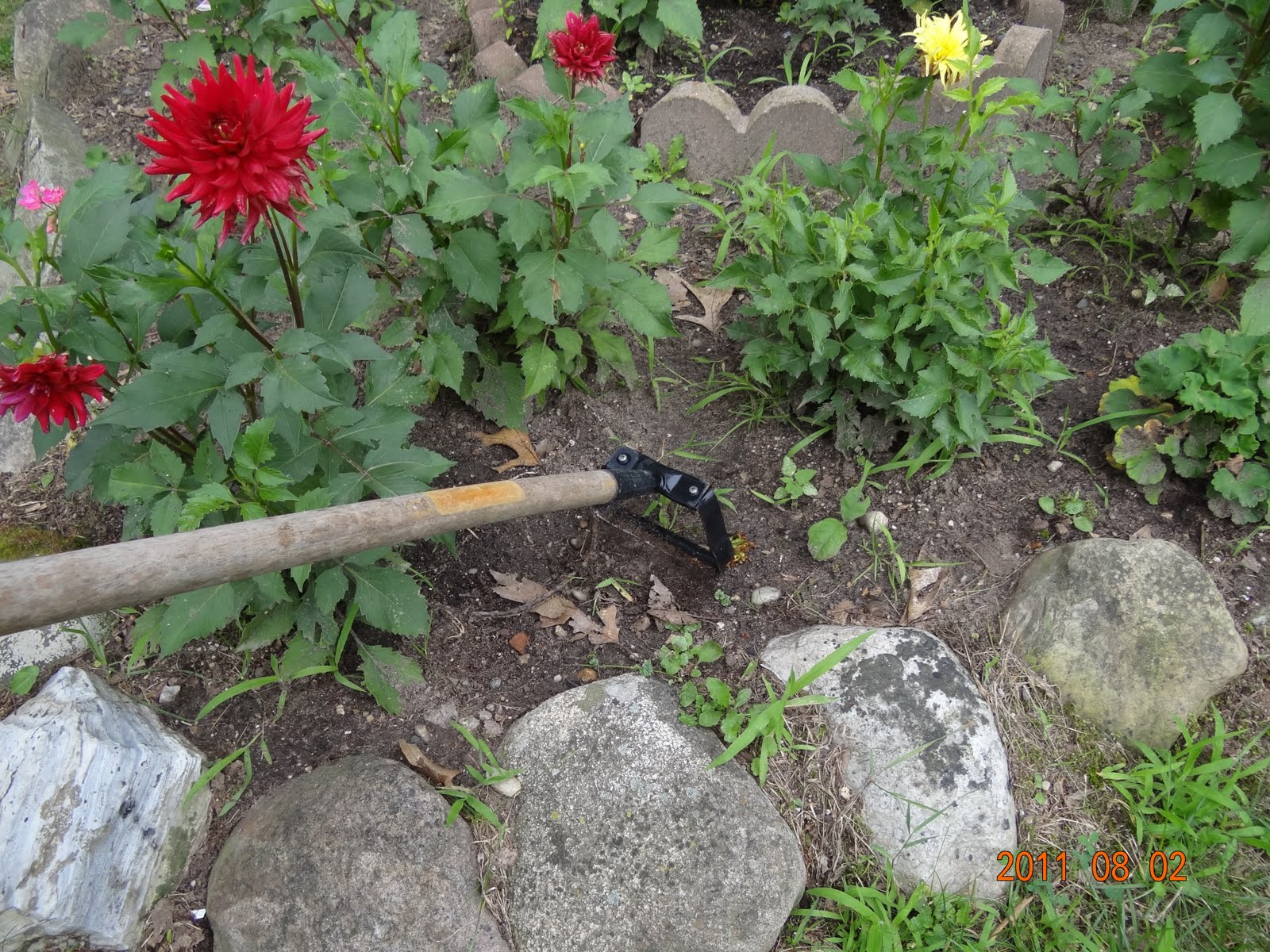 Family A Recipe for Life Today's Gadget Hula Ho Weeder