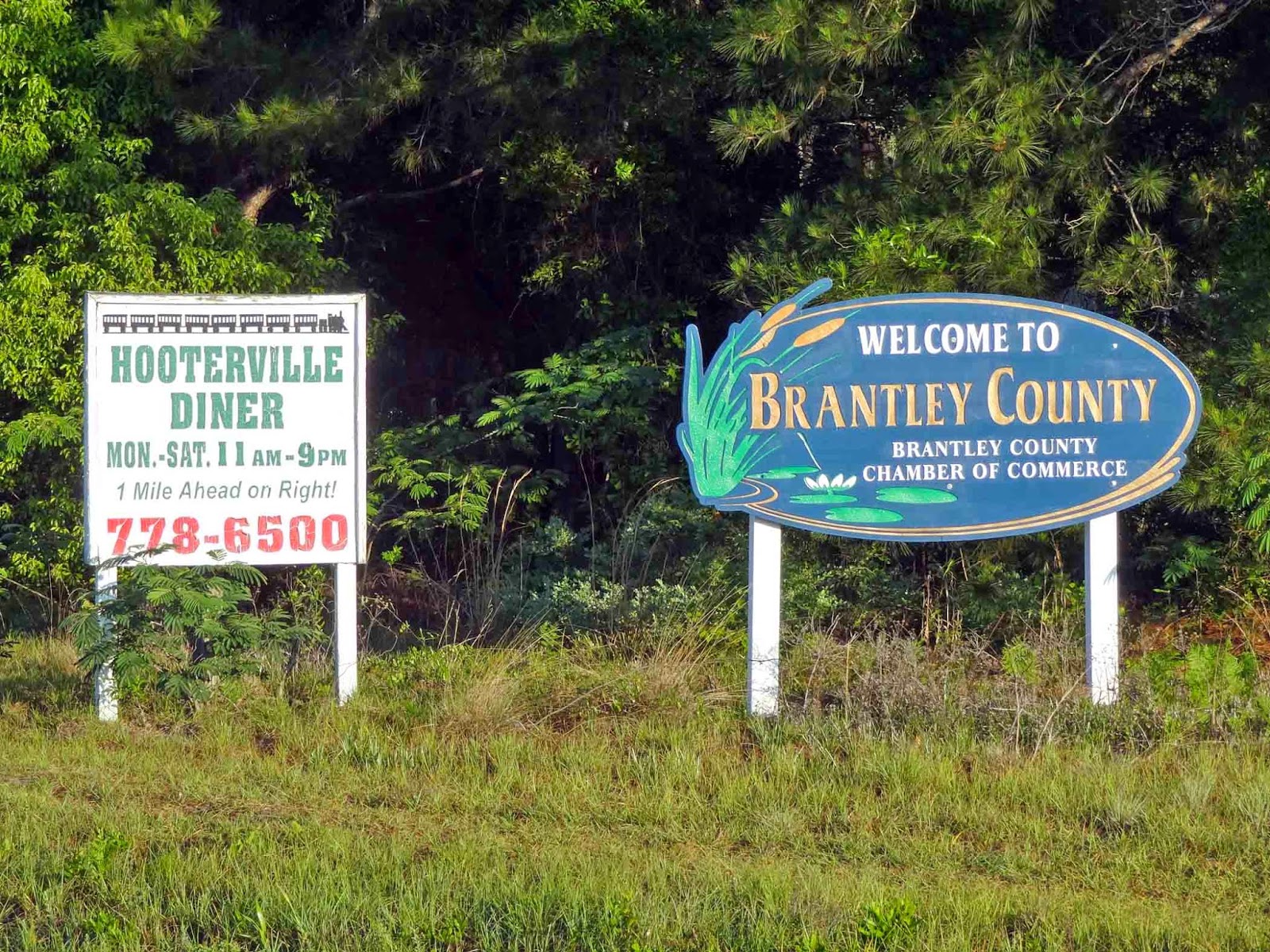 Geographically Yours Brantley County,